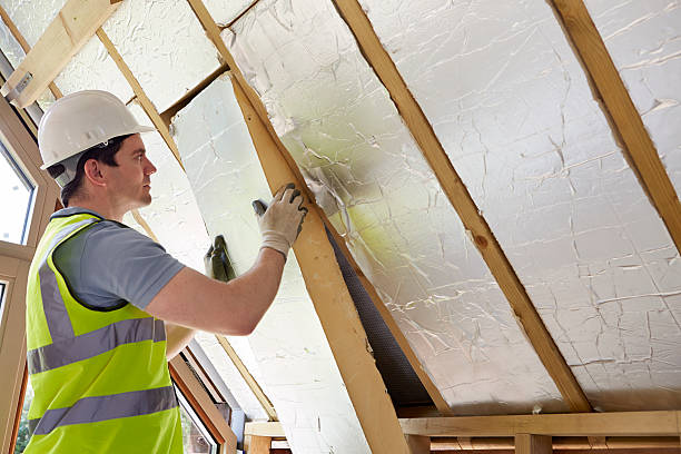 Best Energy Efficiency Solutions in Dolton, IL