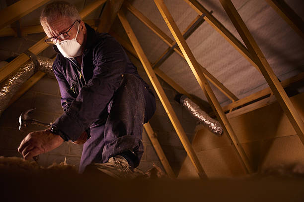 Best Insulation for Specific Applications in Dolton, IL